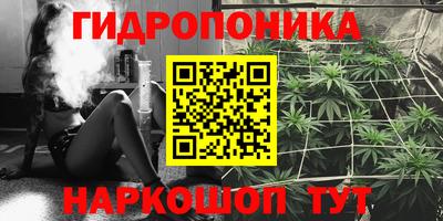 гашиш Гусиноозёрск
